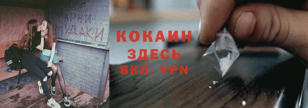ешки Алексин