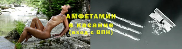 сатива Алзамай