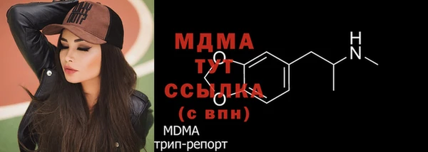 ешки Алексин