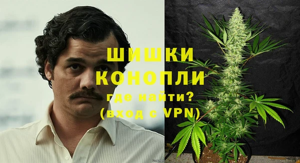 сатива Алзамай