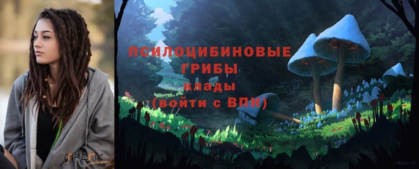 сатива Алзамай