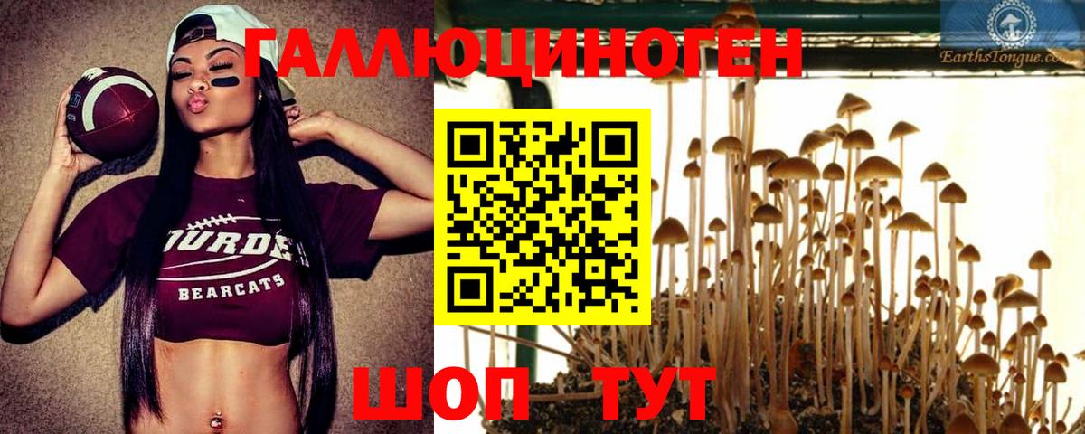 Галлюциногенные грибы прущие грибы  Псилоцибиновые грибы Cubensis  Вход с VPN  Ижевск 